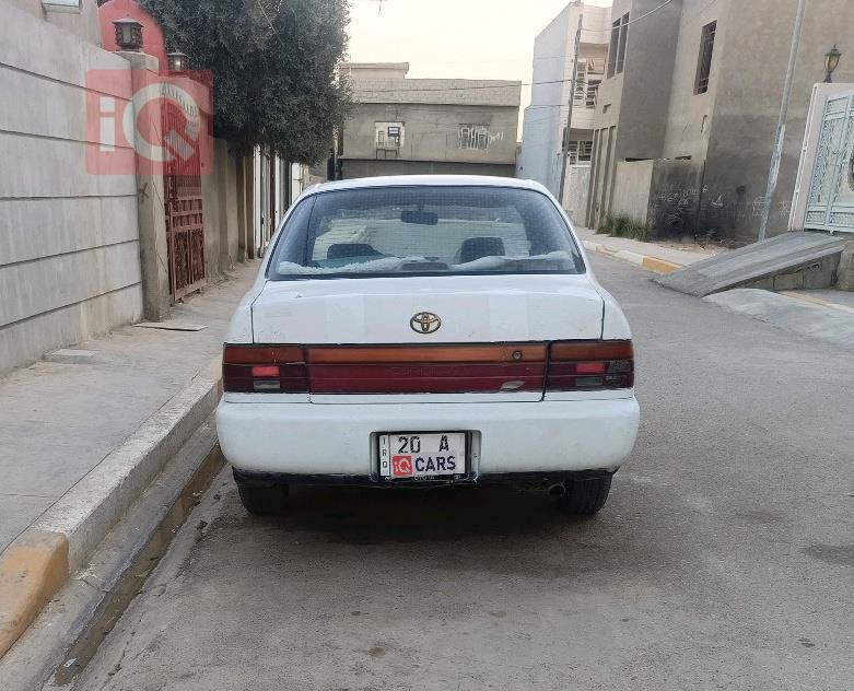 تويوتا كورولا